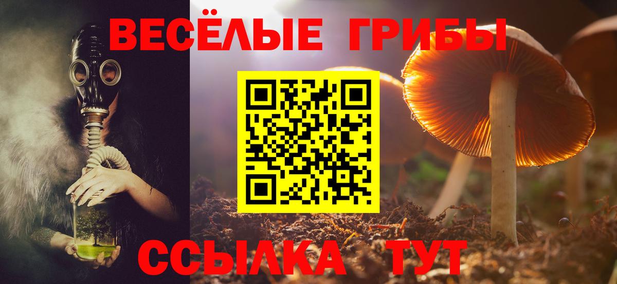 Псилоцибиновые грибы MAGIC MUSHROOMS Алексеевка