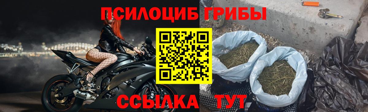 Галлюциногенные грибы Cubensis  Вход с VPN  как найти наркотики  Алексеевка 